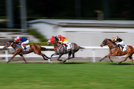 Hong Kong, November, 2019: Horse racing at the Hong Kong Jockey Club Happy Valley Racecourseのeditorial素材