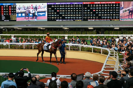 Hong Kong, November, 2019: People looking at race horse in Hong Kong Jockey Club, Happy Valley racing courseのeditorial素材