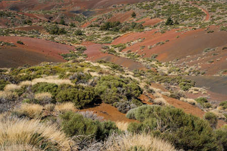 dry landscape with bushes, hills and red sand land -の写真素材