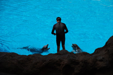 Tenerife, Spain - August, 2022: Animal trainer and dolphin at Loro Parque in Tenerifeの写真素材