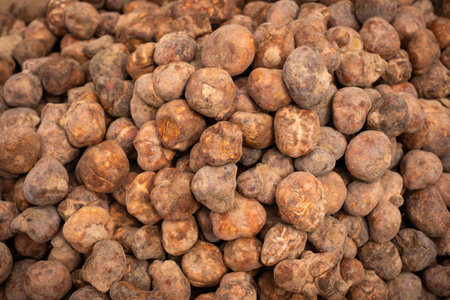 truffle, pile of truffles on farmers marketの写真素材