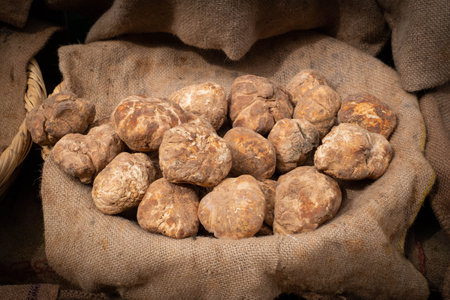 truffle, pile of truffles on farmers marketの写真素材