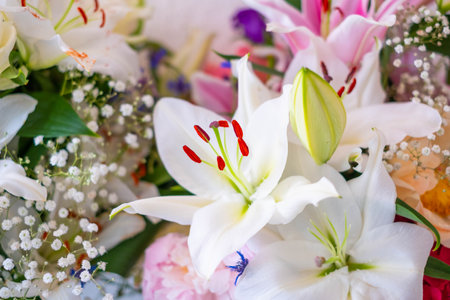 flower closeup, bunch of flowersの写真素材