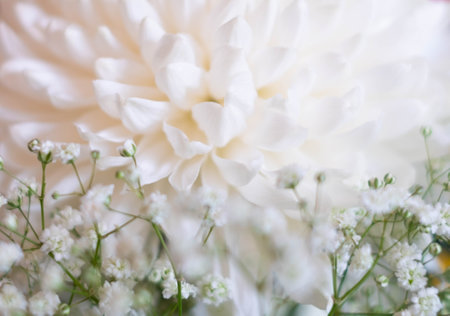 flower closeup, bunch of flowersの写真素材