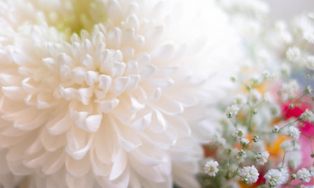 flower closeup, bunch of flowersの写真素材