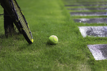 Tennis ball with racket on wet grass after rainingの写真素材