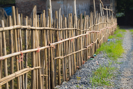 Bamboo fence by road in Asian countrysideの写真素材