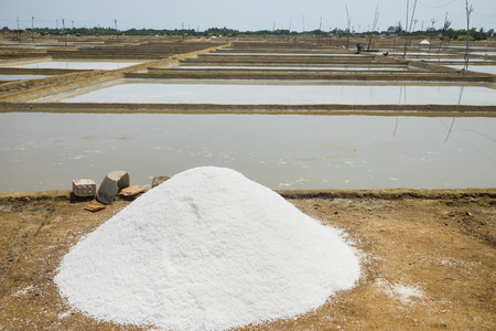 Sea salt produced on farm in Asiaの写真素材