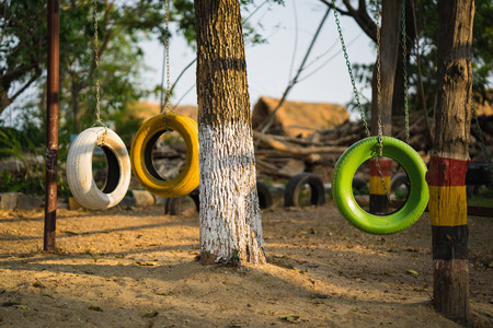 Color old car tire hanging on tree at playground