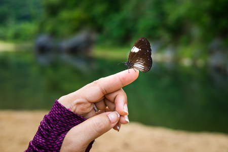 Butterfly sits on woman finger wearing glove against river on backgroundの写真素材