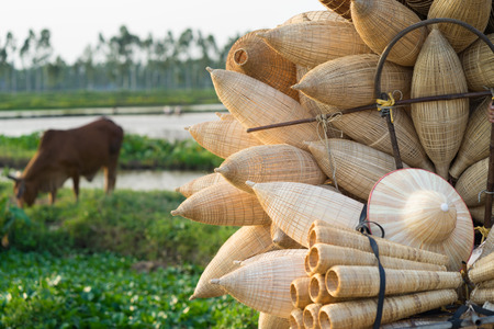Vietnamese traditional bamboo fish traps against cultivation field with water cow on backgroundの写真素材