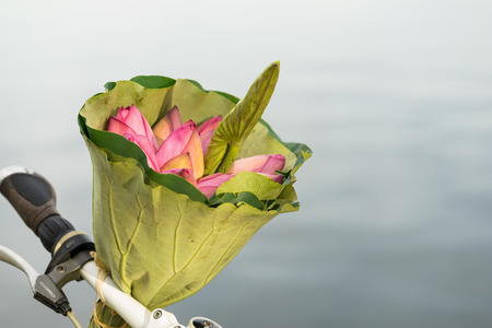 Pink lotus flowers bouquet made of lotus leaves on bike by lake. Hanoi people often buy lotus...