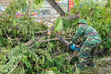Hanoi, Vietnam - June 14, 2015: Fallen tree damaged on street by natural heavy wind storm in Tam Trinh streetのeditorial素材