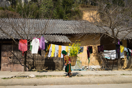 Ha Giang, Vietnam - Feb 14, 2016: Ethnic minority Hmong house in mountain with Hmong little girl carrying cabbage flower on her back in spring seasonのeditorial素材