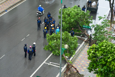 Hanoi, Vietnam - July 28, 2016: Tree fall in storm in Hanoi street. Workers wearing raincoat working to remove the tree for trafficのeditorial素材