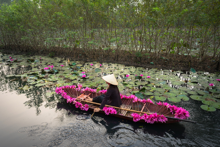 Vietnam landscape with woman rowing boat loaded with flowers on Yen stream, Ninh Binh, Vietnamの写真素材