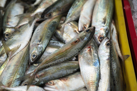 Fishes in Tac Cau fishing port, Me Kong delta province of Kien Giang, south of Vietnamの写真素材