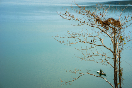 Tranquil lake with leafless trees and fishing boat. Bien Ho lake in Gia Lai, Vietnamの写真素材