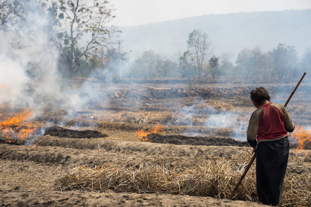 Countryside field with fire made with dry rice straw with woman farmer working on field in Gia Lai, central highland of Vietnamの写真素材