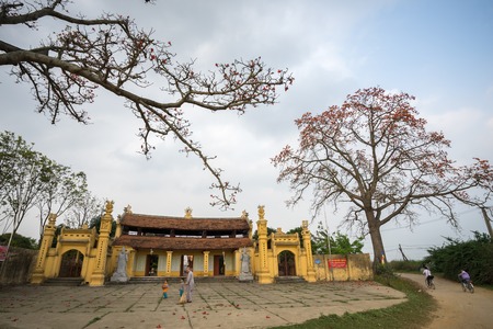 Vinh Phuc, Vietnam - Mar 22, 2017: Temple with blooming bombax ceiba tree(red silk cotton tree) and a female monk sweeping temple yard in Lap Thach district.のeditorial素材