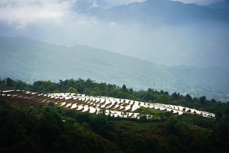 Terraced rice field in water season, the time before starting grow rice, with clouds on background in Y Ty, Lao Cai province, Vietnamの写真素材