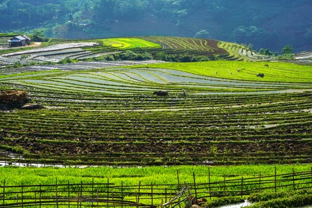 Terraced rice field in water season, the time before starting grow rice in Y Ty, Lao Cai province, Vietnamの写真素材