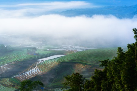 Terraced rice field in water season, the time before starting grow rice, with clouds on background in Y Ty, Lao Cai province, Vietnamの写真素材