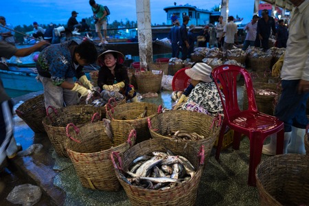 An Giang, Vietnam - Dec 6, 2016: Caught fishes and working activities in Tac Cau fishing port at dawn, Me Kong delta province of Kien Giang, south of Vietnamのeditorial素材