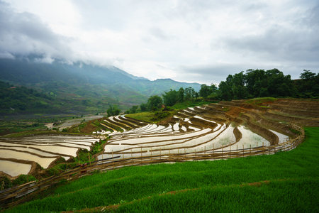 Terraced rice field in water season, the time before starting grow rice in Y Ty, Lao Cai province, Vietnamの写真素材