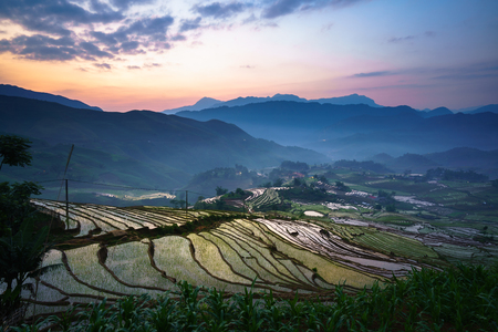 Terraced rice field in morning in water season, the time before starting grow rice in Y Ty, Lao Cai province, Vietnamの写真素材