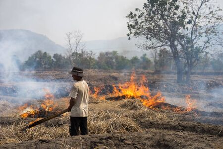 Gia Lai , Vietnam - March 12, 2017: Countryside field with fire made with dry rice straw in Gia Lai, central highland of Vietnam. Drought keep happening in the area for recently years.のeditorial素材