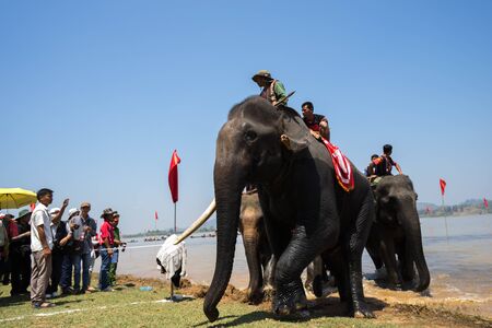 Dak Lak , Vietnam - March 12, 2017 : Elephants at racing festival by Lak lake in Dak Lak, center highland of Vietnamのeditorial素材