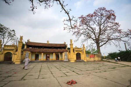 Vinh Phuc, Vietnam - Mar 22, 2017: Temple with blooming bombax ceiba tree and a female monk sweeping temple yard in Lap Thach district.のeditorial素材