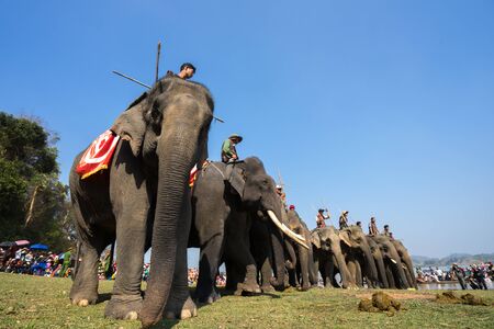 Dak Lak , Vietnam - March 12, 2017 : Elephants stand in line before the race at racing festival by Lak lake in Dak Lak, center highland of Vietnamのeditorial素材