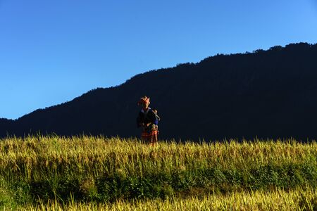 Yen Bai, Vietnam - Sep 18, 2017: Terraced rice field in harvest season with ethnic minority woman on the field in Mu Cang Chai, Vietnam.のeditorial素材