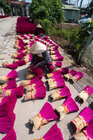 Hanoi, Vietnam - July 28, 2017: Incense sticks drying outdoor with Vietnamese woman wear conical hat working on the yardのeditorial素材