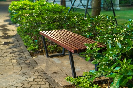 Wooden bench in the park at night with green tree surroundingの写真素材