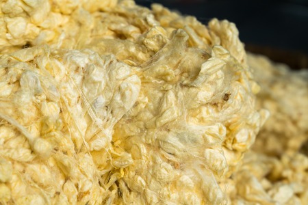 Soft raw threads extracted from the cocoon of the silkworm in processingの写真素材