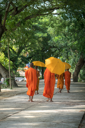 Monks in saffron robe and umbrella walking on rural road among trees in Mekong Delta, Vietnamの写真素材