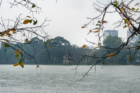 Yellow red leaves on branches in Hanoi. The "leaf change" season at Hoan Kiem lake, center of Hanoiの写真素材