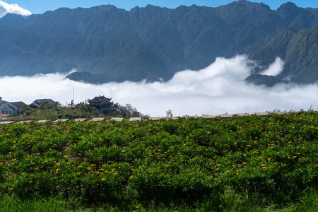 Mountain and low clouds view with stone walking steps above clouds in Sapa, Vietnamの写真素材