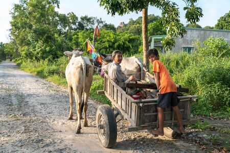 Chau Doc, Vietnam - Oct 13, 2018: Country road in Chau Doc, Mekong delta, Vietnam, with ox wagon moving on the roadのeditorial素材