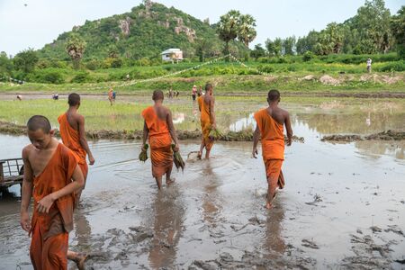 Chau Doc, Vietnam - Oct 13, 2018: Local people in village plant rice for Khmer pagoda together with novice monks in festival at Ro pagodaのeditorial素材