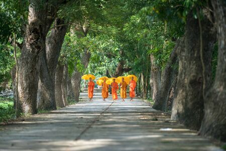 Chau Doc, Vietnam - Oct 15, 2018: Monks in saffron robe and umbrella walking on rural road among trees in Mekong Delta, Vietnamのeditorial素材