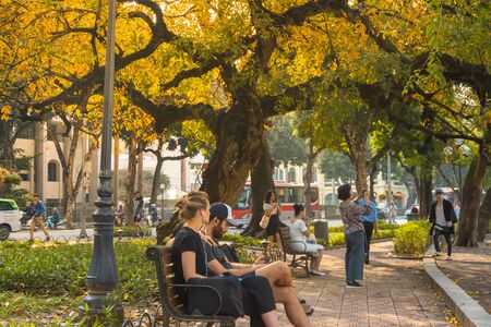 Hanoi, Vietnam - Feb 18, 2019: Yellow leaf tree in Hanoi. The "leaf change" season at Hoan Kiem lake, center of Hanoiのeditorial素材