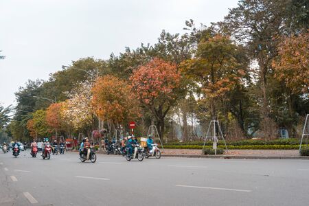 Hanoi, Vietnam - Feb 13, 2019: Hanoi street in fall season with yellow red leaves on branches. The "leaf change" seasonのeditorial素材