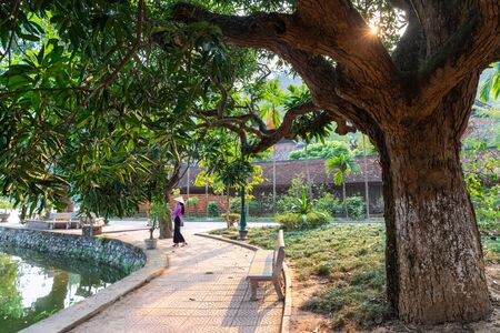 Old pagoda ground scene with big tree and Vietnamese woman in traditional dress Ao Dai walking on walkwayの写真素材