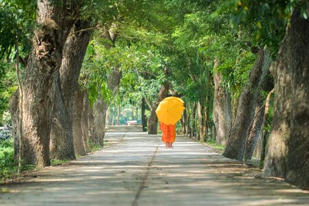 Monks in saffron robe and umbrella walking on rural road among trees in Mekong Delta, Vietnamの写真素材