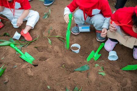 Closeup group of Asian school kids learn to plant tree seeds on sand outdoorの写真素材