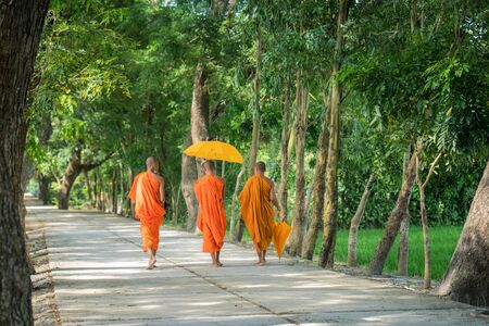 Monks in saffron robe and umbrella walking on rural road among trees in Mekong Delta, Vietnamの写真素材